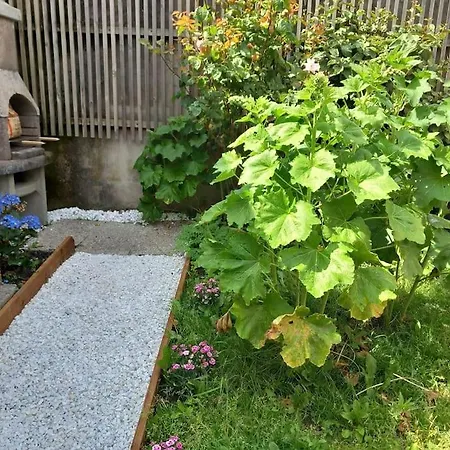 別荘 Victor&pierre オードゥレセル