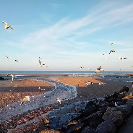 Victor&pierre * オードゥレセル